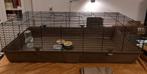Mooie ruime Cavia kooi 140 cm x 70 cm met diepe schone bak, Dieren en Toebehoren, Kooi, Cavia, Ophalen, Minder dan 60 cm