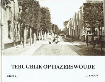 Terugblik op Hazerswoude 2  beschikbaar voor biedingen