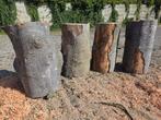 hakblok spijkerblok kloofblok aambeeldblok beukenhout, Minder dan 3 m³, Ophalen of Verzenden