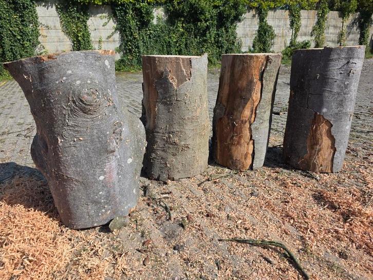 hakblok spijkerblok kloofblok aambeeldblok beukenhout, Tuin en Terras, Haardhout, Minder dan 3 m³, Ophalen of Verzenden