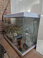 Mooi nieuw groot aquarium, Ophalen, Zo goed als nieuw