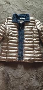 Dames jasje, Ophalen of Verzenden, Nieuw, Maat 38/40 (M)