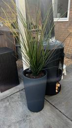 Grijze pot (met kunst siergras), Kunststof, Rond, Binnen, Zo goed als nieuw