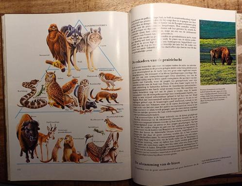 Boek: "Fauna." Deel 7, Eurazië - Noord-Amerika., Boeken, Dieren en Huisdieren, Zo goed als nieuw, Ophalen of Verzenden