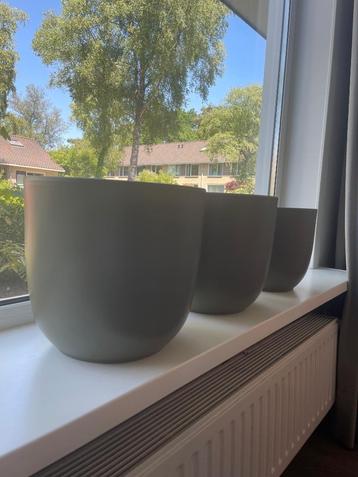 Drie olijfgroene MiCa bloempotten beschikbaar voor biedingen