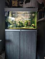 Aquarium, Dieren en Toebehoren, Ophalen