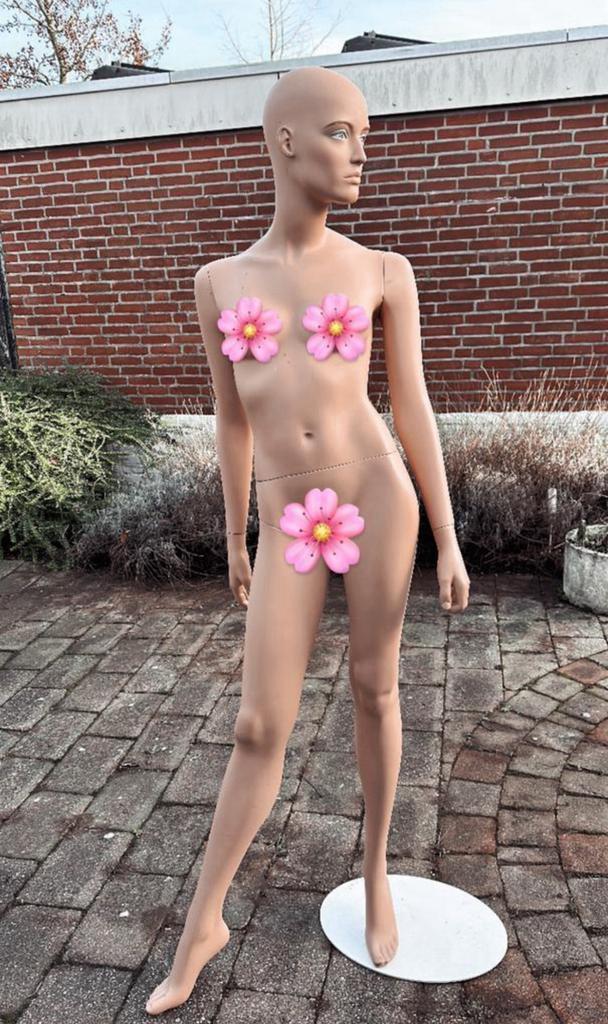 Paspoppen | Mannequins | 2 stuks, Hobby en Vrije tijd, Naaien en Fournituren, Zo goed als nieuw, Ophalen