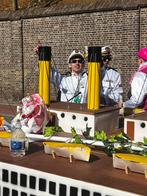 Loopgroep Loveboat Kostuums & Accessoires - Carnaval!, Carnaval, Maat 46/48 (XL) of groter, Ophalen of Verzenden, Zo goed als nieuw