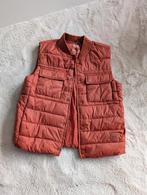 Bodywarmer oranje/ rood (terra) Zara maat 140, Ophalen of Verzenden, Zo goed als nieuw