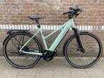 RIESE MULLER ROADSTER MIXTE VARIO 2024 625WH SLECHTS 69 KM
