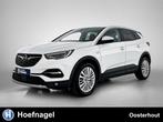 Opel GRANDLAND X 1.2 Turbo Innovation Automaat | Camera | Ap, Gebruikt, 1199 cc, Leder en Stof, Wit