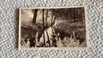 Ansichtkaart Eerbeek Beek vanaf Dieperings bruggetje 1934, Verzamelen, Ansichtkaarten | Nederland, Ophalen of Verzenden, 1920 tot 1940