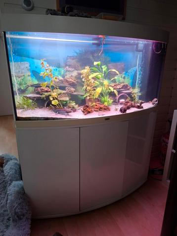 Juwel vision 260 aquarium! beschikbaar voor biedingen