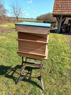bijenkast, Dieren en Toebehoren, Insecten en Spinnen, Bijen
