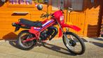 Honda MT50 uit 1981 met taxatierapport, Ophalen, Zo goed als nieuw, 50 cc, MT