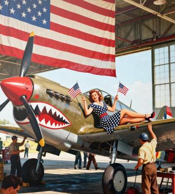 Curtiss P-40 Warhawk Pinup Leger Pin up Poster beschikbaar voor biedingen