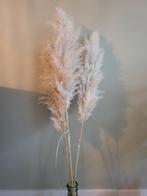 Bos Pampas pluimen, Huis en Inrichting, Ophalen