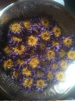 Blue lotus hele bloem thee 500 gram, Ophalen of Verzenden