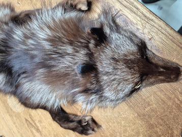 Bont shawl Vos origineel! beschikbaar voor biedingen