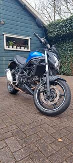 Suzuki SV650 Street Xtreme 2017, Motoren, 2 cilinders, 649 cc, Particulier, Meer dan 35 kW