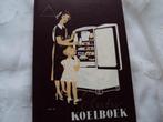 Electro Koelboek, Boeken, Ophalen of Verzenden, Gelezen, H.A.M. Halverhout, Nederland en België