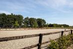 Stalling aangeboden, Dieren en Toebehoren, Weidegang, 2 of 3 paarden of pony's