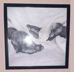 Zwart-wit foto van handen met veer, Antiek en Kunst, Ophalen of Verzenden