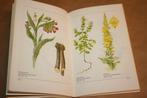 Kruidengids - Herkennen-verzamelen-gebruik, Ophalen of Verzenden, Gelezen, Bloemen, Planten en Bomen