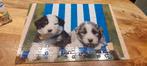 Honden puzzel 100 st, Ophalen, Meer dan 50 stukjes, Zo goed als nieuw