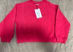 sweatshirt with, Meisje, Nieuw, Ophalen of Verzenden, Zara