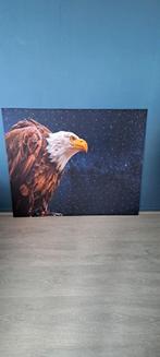 Doek op houten frame adelaar /eagle met steentjes, Zo goed als nieuw, Ophalen