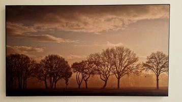 Foto op doek, gespannen in ArtFrame beschikbaar voor biedingen