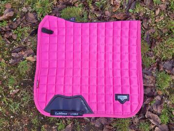 Lemieux watermelon full dressuur  beschikbaar voor biedingen