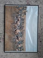 Zwarte fotolijst 51x71cm, Antiek en Kunst, Ophalen