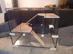 Mooi bijna nieuw gerbilarium, Hamster, Zo goed als nieuw, Hok, Ophalen