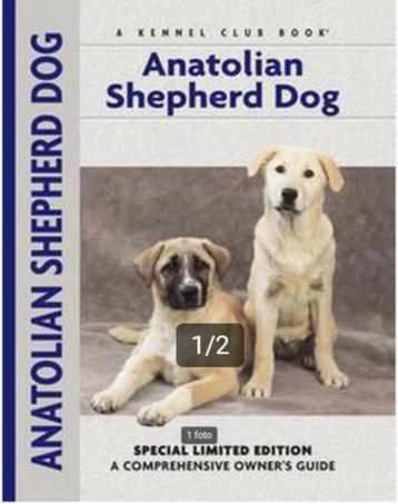Anatolian Shepherd Dog - Richard Beauchamp beschikbaar voor biedingen