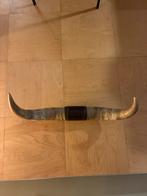 Decoratieve Koeienhoorns, Ophalen, Gebruikt