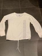 Adidas shirt wit met grijs/zilver maat 38, Maat 38/40 (M), Adidas, Wit, Ophalen of Verzenden