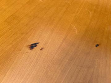 Frank Lloyd Wright Taliesin bureau + bibliotheekkast Cassina - afbeelding 11