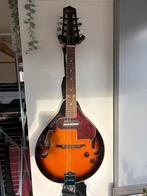 Ibanez M510E BS semi akoestische mandoline, Ophalen of Verzenden, Zo goed als nieuw