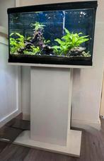 Te koop aquarium van 60 lieter met bijpassend meubel, Dieren en Toebehoren, Ophalen, Zo goed als nieuw, Leeg aquarium
