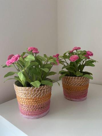 2 mooie bloempotten met roze bloemetjes beschikbaar voor biedingen