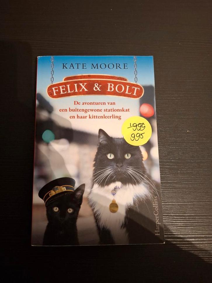 Felix & Bolt - Kate Moore, Boeken, Romans, Zo goed als nieuw, Nederland, Ophalen of Verzenden