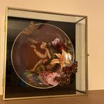 vitrine met bord met aap en 3 opgezette vlinders dagpauwoog, Ophalen of Verzenden, Zo goed als nieuw, Insect, Opgezet dier