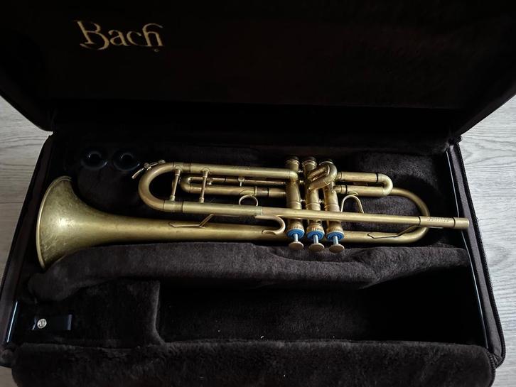 Trompet Eclipse Celeste, Muziek en Instrumenten, Blaasinstrumenten | Trompetten, Gebruikt, Bes-trompet, Verzenden