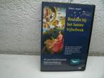 dvd 260k beelden bij het laatste bijbelboek, Cd's en Dvd's, Dvd's | Religie en Gospel, Alle leeftijden, Ophalen of Verzenden, Zo goed als nieuw