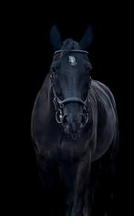 ✨Rambo micklem maat cob ✨, Ophalen of Verzenden, Zo goed als nieuw, Overige soorten