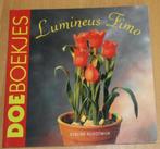 Lumineus Fimo doe1336, Ophalen of Verzenden, Zo goed als nieuw, Kleien en Boetseren, Geschikt voor kinderen