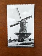 Ansichtkaart molen de Korenaar Oirschot, Ongelopen, Ophalen of Verzenden, Noord-Brabant