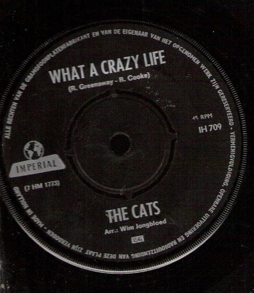 Cats - What A Crazy Life -Hopeless Try-Nederbeat 1966, Cd's en Dvd's, Vinyl Singles, Gebruikt, Pop, Ophalen